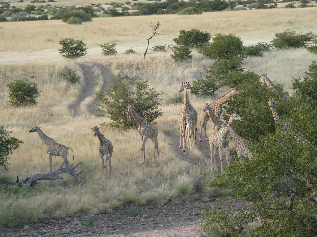 Etendeka Mountain Camp Damaraland Esterno foto