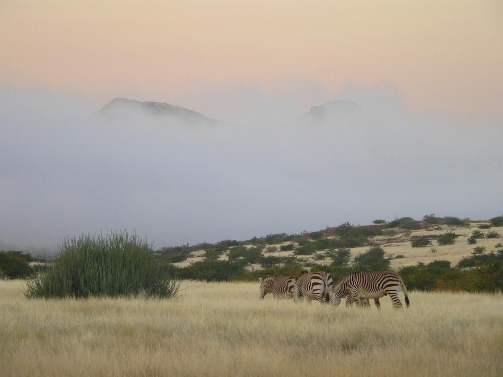 Etendeka Mountain Camp Damaraland Esterno foto