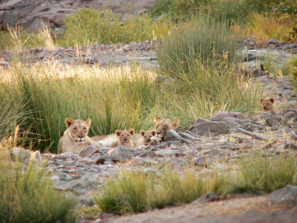 Etendeka Mountain Camp Damaraland Esterno foto