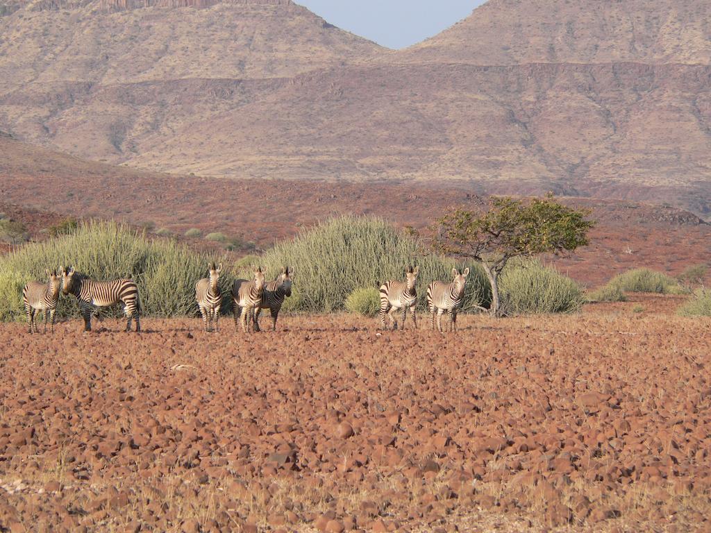 Etendeka Mountain Camp Damaraland Esterno foto