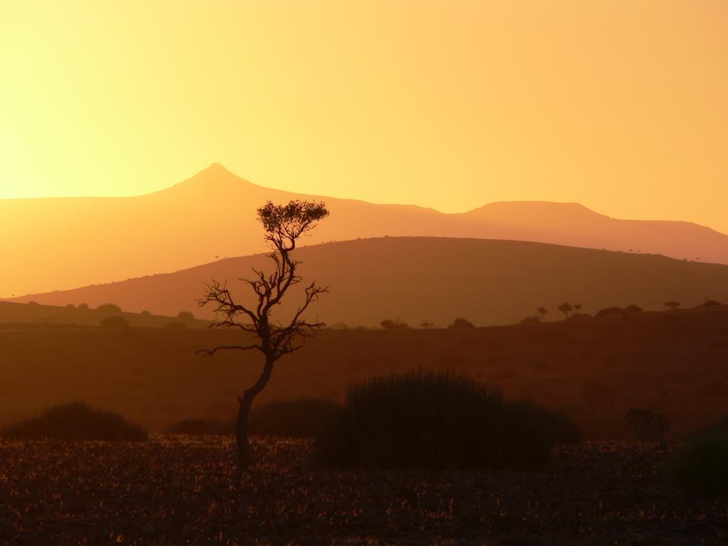 Etendeka Mountain Camp Damaraland Esterno foto